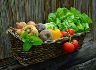 Co można zacząć produkować? Co można zacząć produkować?