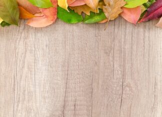 Jaki będzie wrzesień 2023?