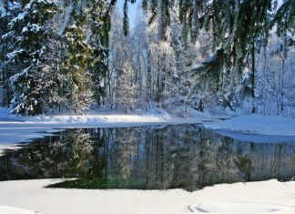 Kiedy przyjdą mrozy do Polski?
