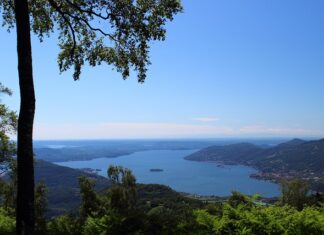 Co przełożony może zrobić aby lepiej cię wesprzeć?